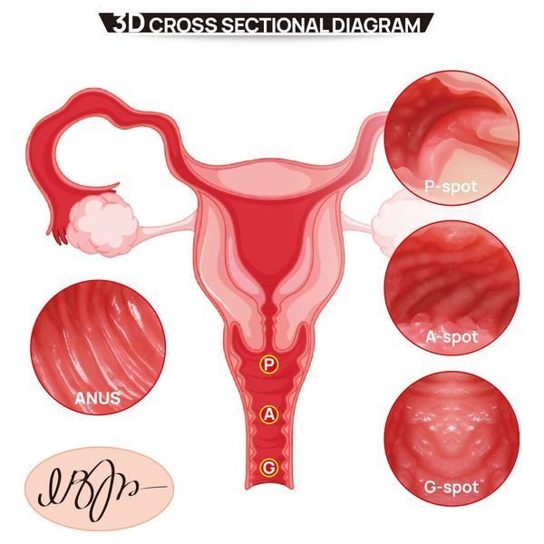 Мастурбатор Kokos 004 Vailla ONAHOLE Real Vagina SX3235 фото