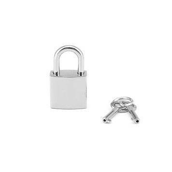 Замочок Liebe Seele Regular Padlock Silver (2 шт) SX1680 фото