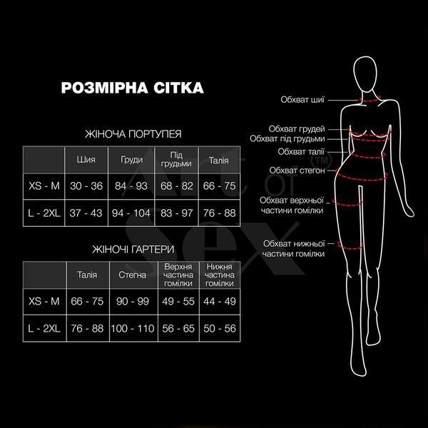 Сексуальні шкіряні трусики прикрашені ланцюгами Art of sex - Cross, колір Чорний, розмір XS-M SO9657 фото