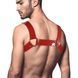 Чоловіча портупея на груди Feral Feelings - Bulldog Harness Red SO9307 фото 2